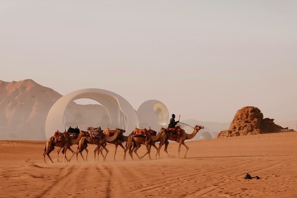 Portfolio | 2025 12 11 & Rethinking the mainstream economic paradigm