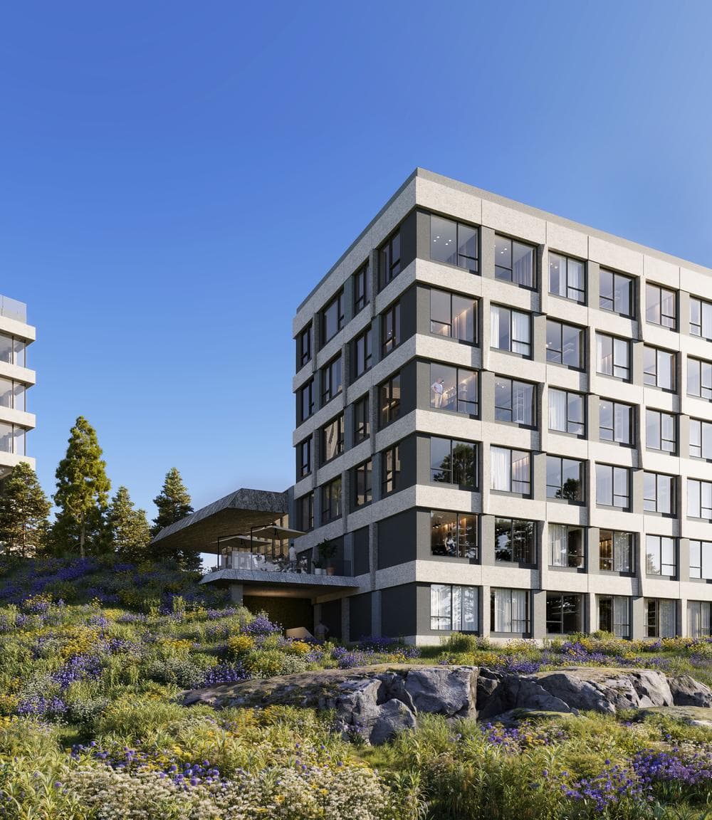 Project | Xinjiang Sayram Lake Marriott Hotel Cluster rendering for Aedas